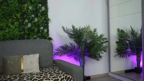 Amii online show from March 2026 06:11:01 PM