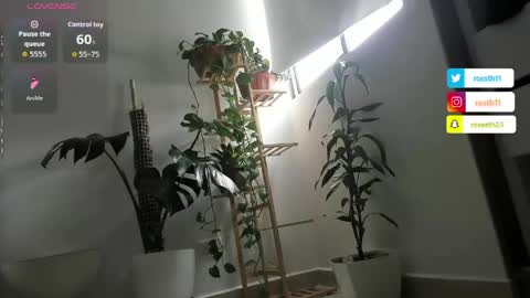 Im Ross   online show from April 2026 05:32:01 PM