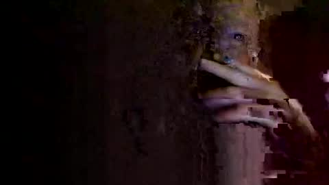 Snapshot of rotorranch chatting on October 2025 06:31:01 AM rotorranch online show from October 2025 06:31:01 AM