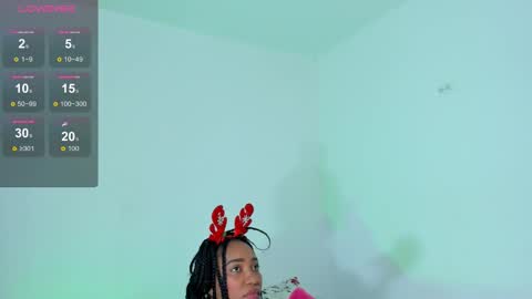 rous online show from December 2024 03:00:02 PM