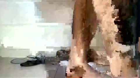 Snapshot of rumel_desi chatting on December 2024 06:33:01 PM tareq online show from December 2024 06:33:01 PM