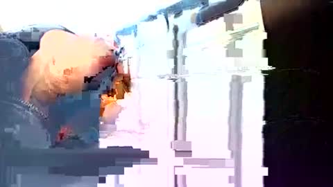 rushover63 online show from March 2025 10:49:01 AM