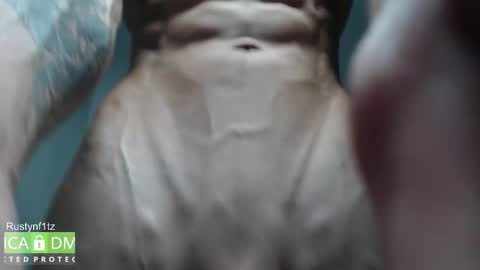 Snapshot of rustynf1tz chatting on October 2025 05:29:02 AM MillionDollarGuy online show from October 2025 05:29:02 AM