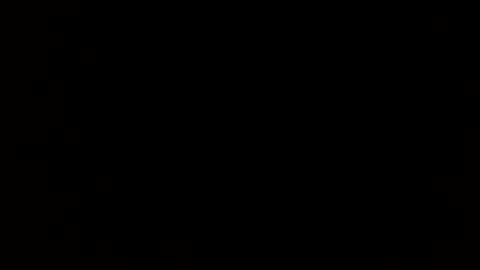 Ryland online show from February 2025 10:55:01 AM