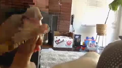 ryanbobby88 online show from October 2025 09:43:02 PM