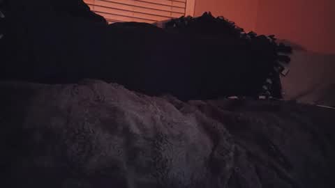 Snapshot of ryanfc85 chatting on November 2025 07:09:02 AM RFC666 online show from November 2025 07:09:02 AM