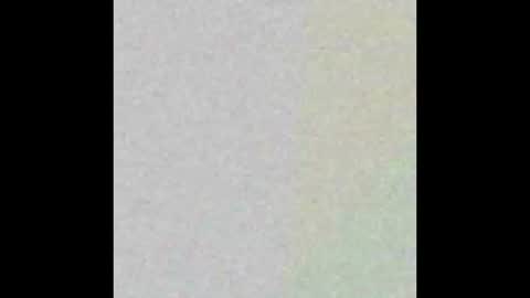 Cookiescream online show from February 2025 02:46:02 PM