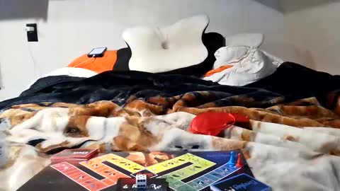 Snapshot of rytracey2024 chatting on January 2025 08:37:02 PM RyTracey2024 online show from January 2025 08:37:02 PM