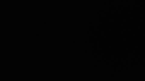 Snapshot of ryushi009 chatting on January 2025 03:32:02 AM Ryushi009 online show from January 2025 03:32:02 AM