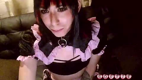 Snapshot of s0ft_s3rv chatting on November 2025 06:02:02 AM Softie 3 online show from November 2025 06:02:02 AM