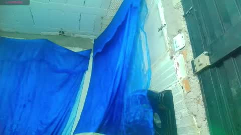 sofia online show from November 2025 07:04:02 PM