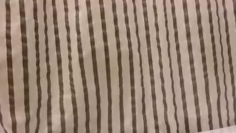 Snapshot of sacalaschichiss chatting on October 2025 01:13:01 PM Dee online show from October 2025 01:13:01 PM