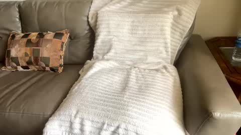 Snapshot of sackskincreamer chatting on February 2025 07:36:01 PM R online show from February 2025 07:36:01 PM