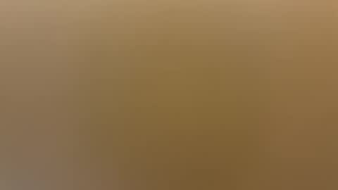 saconuts online show from April 2026 08:24:01 AM