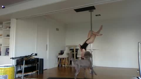 sadgirldies online show from February 2025 12:52:01 AM