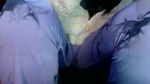 Karina online show from March 2026 12:34:02 AM