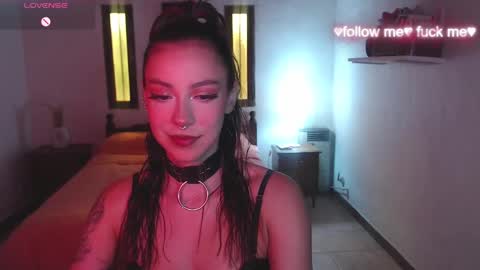 Sakura online show from February 2025 03:28:02 PM