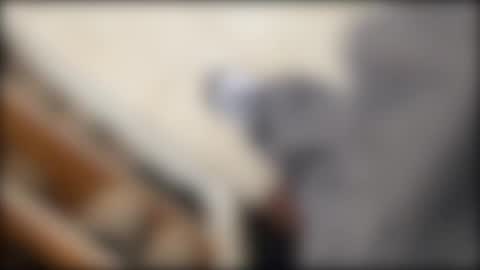 salgemma online show from March 2026 03:19:02 PM