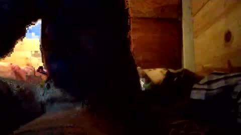 Snapshot of salido543 chatting on December 2025 10:09:01 AM Penoso online show from December 2025 10:09:01 AM