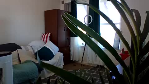 Snapshot of salis1981 chatting on March 2025 05:39:02 PM salis1981 online show from March 2025 05:39:02 PM