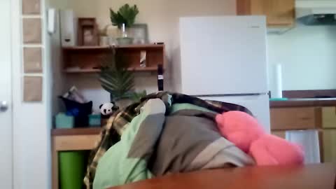 Snapshot of salis1981 chatting on October 2025 06:31:01 PM salis1981 online show from October 2025 06:31:01 PM