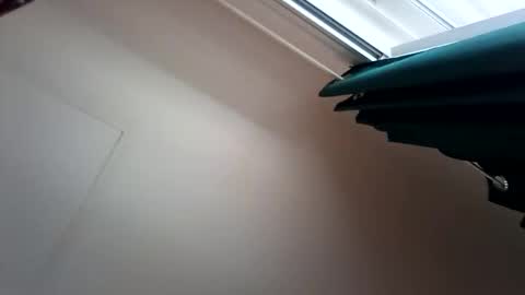 Snapshot of salis1981 chatting on December 2025 07:53:02 PM salis1981 online show from December 2025 07:53:02 PM