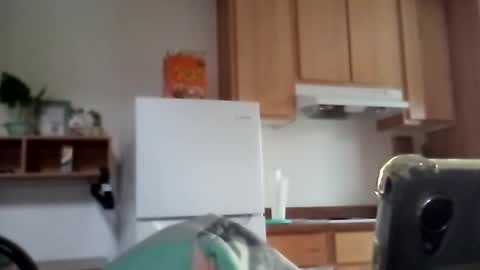 Snapshot of salis1981 chatting on December 2025 11:55:02 PM salis1981 online show from December 2025 11:55:02 PM