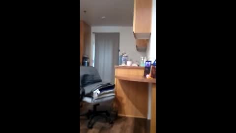 salis1981 online show from April 2026 06:09:01 PM