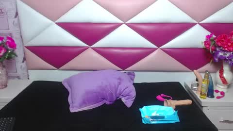 Snapshot of salmasantos chatting on January 2025 06:06:01 AM salmasanto online show from January 2025 06:06:01 AM