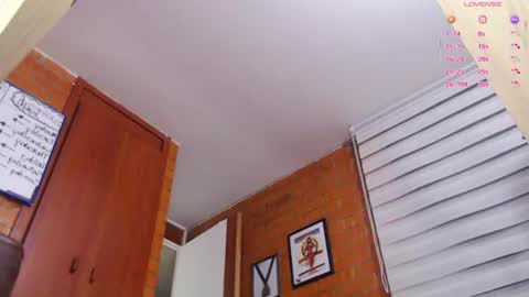 Snapshot of salome_sw chatting on June 2026 12:32:02 AM SAMANTHA online show from June 2026 12:32:02 AM