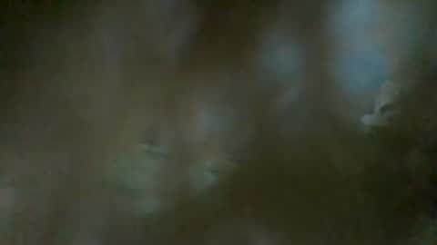 Snapshot of sam223382879 chatting on January 2025 11:40:01 PM sam223382879 online show from January 2025 11:40:01 PM