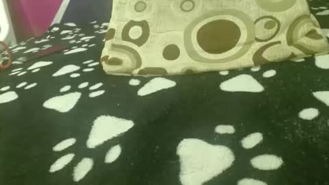 SAMANTHARUIZ18 online show from March 2026 04:06:02 PM