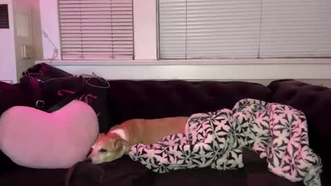 samanthafever online show from April 2026 11:54:02 AM