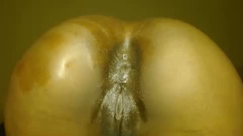 manth online show from November 2025 07:12:01 PM