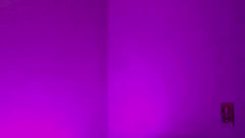 Sam Demia online show from December 2024 02:58:01 AM