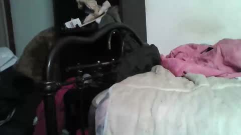 Samedisamedi1nouveau online show from December 2025 05:42:02 PM