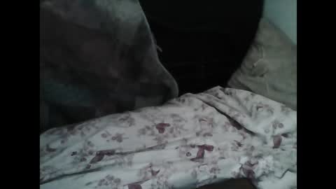 Snapshot of samedisamedi1nouveau chatting on March 2026 10:12:02 AM Samedisamedi1nouveau online show from March 2026 10:12:02 AM