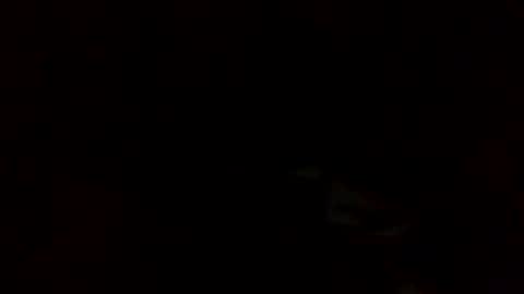 samjesss online show from March 2025 02:28:02 AM