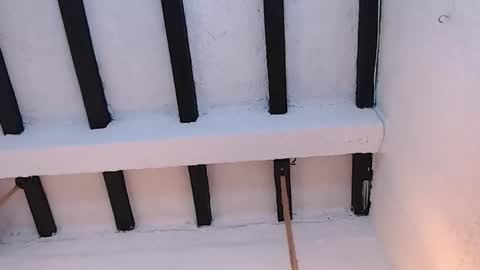 Sammy  online show from February 2026 02:30:01 AM