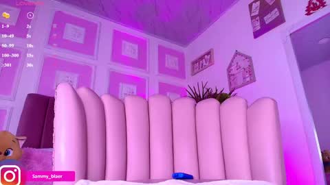 Snapshot of sammyblaer chatting on February 2025 02:27:02 AM Samantha online show from February 2025 02:27:02 AM