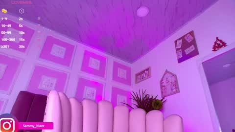 Snapshot of sammyblaer chatting on February 2025 02:03:02 AM Samantha online show from February 2025 02:03:02 AM