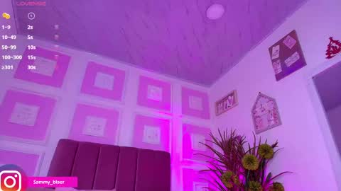 Snapshot of sammyblaer chatting on February 2025 10:13:01 PM Samantha online show from February 2025 10:13:01 PM