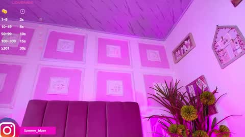 Snapshot of sammyblaer chatting on February 2025 03:40:01 AM Samantha online show from February 2025 03:40:01 AM