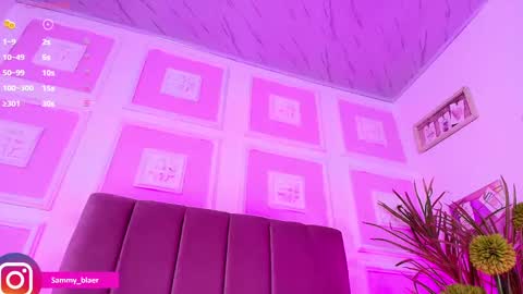 Snapshot of sammyblaer chatting on February 2025 02:17:02 AM Samantha online show from February 2025 02:17:02 AM