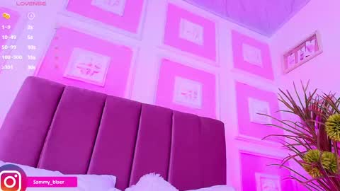 Snapshot of sammyblaer chatting on March 2025 03:28:02 AM Samantha online show from March 2025 03:28:02 AM