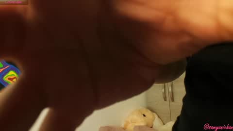 Snapshot of samyonichan chatting on December 2024 03:36:01 AM Special show on 17 december and 23 UwU online show from December 2024 03:36:01 AM