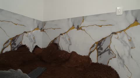 sara and thomas online show from November 2025 12:00:01 AM