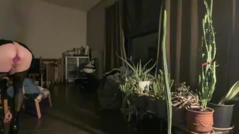 Snapshot of sarafossette chatting on July 2026 01:42:02 AM Sara Fossette online show from July 2026 01:42:02 AM