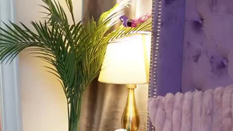 Snapshot of saraiangel chatting on July 2026 03:55:02 AM Sarai online show from July 2026 03:55:02 AM