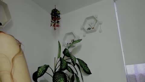 Saray  online show from February 2026 11:20:01 PM